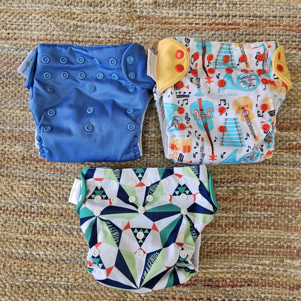 BumGenius All In One Cloth Diaper
